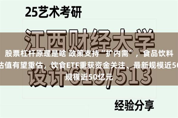 股票杠杆原理是啥 政策支持“扩内需”，食品饮料板块估值有望重估，饮食ETF重获资金关注、最新规模近50亿元