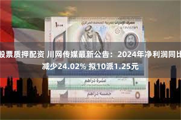 股票质押配资 川网传媒最新公告：2024年净利润同比减少24.02% 拟10派1.25元