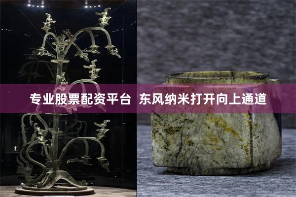 专业股票配资平台  东风纳米打开向上通道