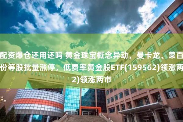 配资爆仓还用还吗 黄金珠宝概念异动，曼卡龙、菜百股份等股批量涨停，低费率黄金股ETF(159562)领涨两市