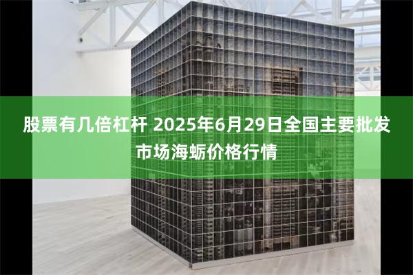 股票有几倍杠杆 2025年6月29日全国主要批发市场海蛎价格行情