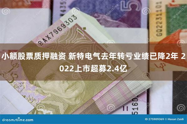 小额股票质押融资 新特电气去年转亏业绩已降2年 2022上市超募2.4亿