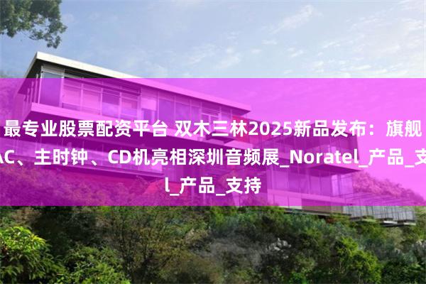 最专业股票配资平台 双木三林2025新品发布：旗舰DAC、主时钟、CD机亮相深圳音频展_Noratel_产品_支持