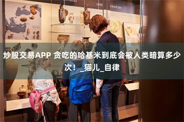 炒股交易APP 贪吃的哈基米到底会被人类暗算多少次！_猫儿_自律