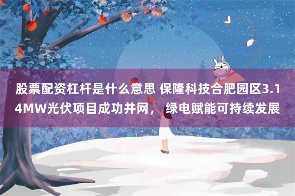 股票配资杠杆是什么意思 保隆科技合肥园区3.14MW光伏项目成功并网， 绿电赋能可持续发展