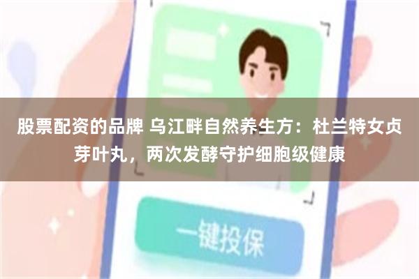 股票配资的品牌 乌江畔自然养生方：杜兰特女贞芽叶丸，两次发酵守护细胞级健康
