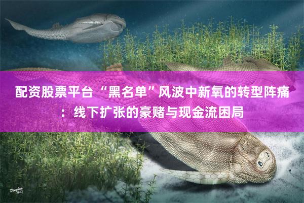 配资股票平台 “黑名单”风波中新氧的转型阵痛：线下扩张的豪赌与现金流困局